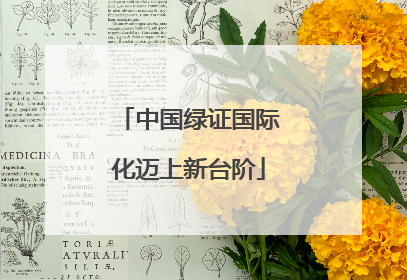 中国绿证国际化迈上新台阶