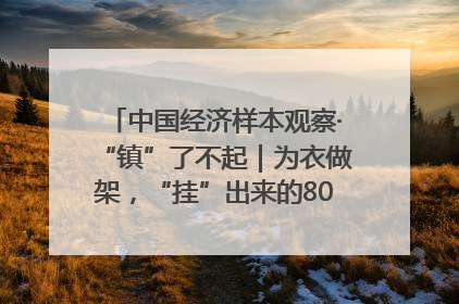 中国经济样本观察·“镇”了不起｜为衣做架，“挂”出来的80亿元“衣架产业”