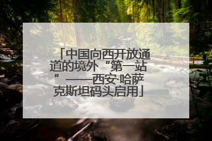 中国向西开放通道的境外“第一站”——西安·哈萨克斯坦码头启用
