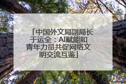 中国外文局副局长于运全：AI赋能和青年力量共促网络文明交流互鉴