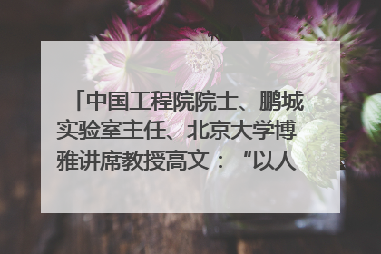 中国工程院院士、鹏城实验室主任、北京大学博雅讲席教授高文：“以人为本 智能向善” 推动文化与科技相生相促｜聚焦2025文化强国建设高峰论坛