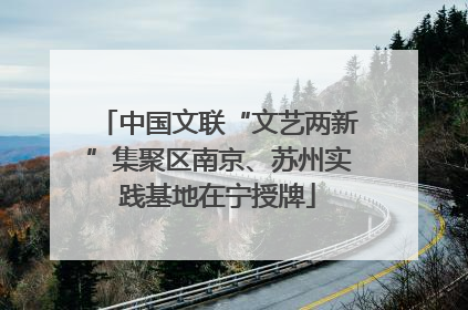中国文联“文艺两新”集聚区南京、苏州实践基地在宁授牌