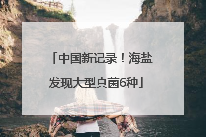 中国新记录！海盐发现大型真菌6种