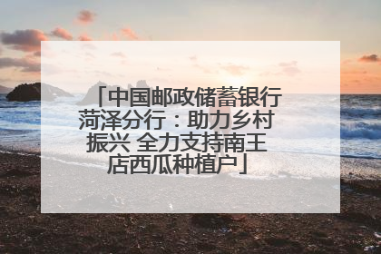 中国邮政储蓄银行菏泽分行：助力乡村振兴 全力支持南王店西瓜种植户