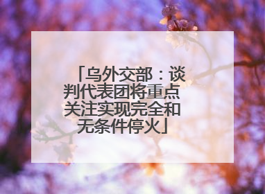 乌外交部：谈判代表团将重点关注实现完全和无条件停火