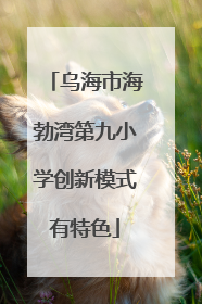 乌海市海勃湾第九小学创新模式有特色