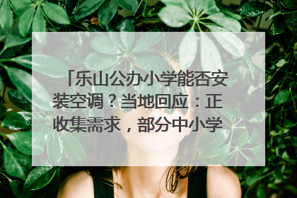 乐山公办小学能否安装空调？当地回应：正收集需求，部分中小学已启动安装｜云求助