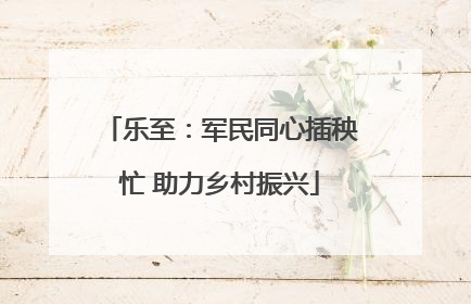 乐至：军民同心插秧忙 助力乡村振兴