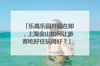 乐高乐园开园在即，上海金山如何让游客吃好住玩得好？