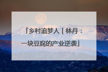 乡村追梦人｜林丹：一块豆腐的产业逆袭