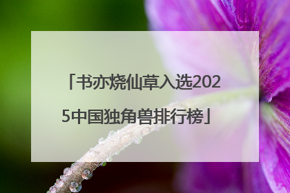 书亦烧仙草入选2025中国独角兽排行榜