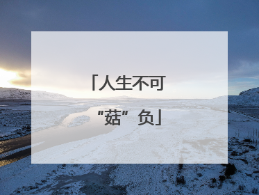 人生不可“菇”负