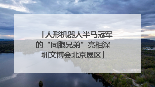 人形机器人半马冠军的“同胞兄弟”亮相深圳文博会北京展区