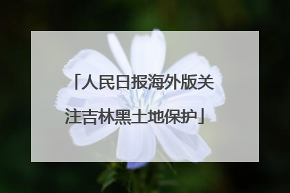 人民日报海外版关注吉林黑土地保护