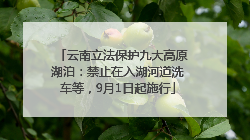 云南立法保护九大高原湖泊：禁止在入湖河道洗车等，9月1日起施行