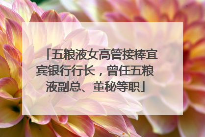 五粮液女高管接棒宜宾银行行长，曾任五粮液副总、董秘等职