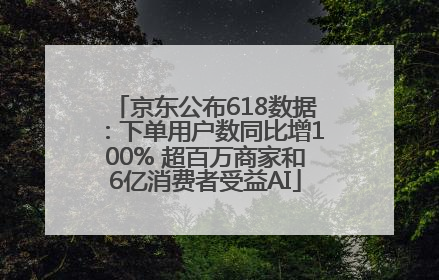 京东公布618数据：下单用户数同比增100% 超百万商家和6亿消费者受益AI