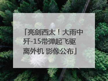 亮剑西太！大雨中歼-15带弹起飞驱离外机 影像公布