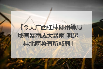 今天广西桂林柳州等局地有暴雨或大暴雨 明起桂北雨势有所减弱