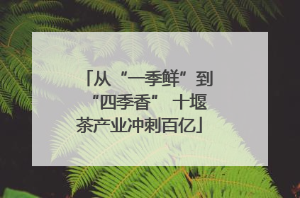 从“一季鲜”到“四季香” 十堰茶产业冲刺百亿