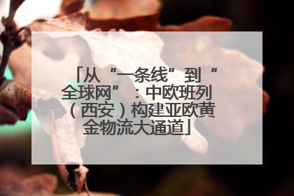 从“一条线”到“全球网”：中欧班列（西安）构建亚欧黄金物流大通道