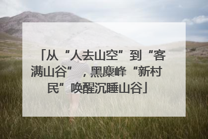 从“人去山空”到“客满山谷”，黑麋峰“新村民”唤醒沉睡山谷