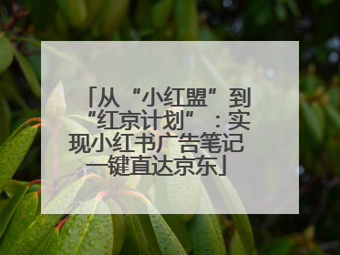 从“小红盟”到“红京计划”：实现小红书广告笔记一键直达京东