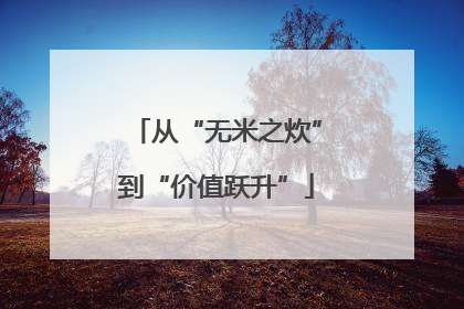 从“无米之炊”到“价值跃升”