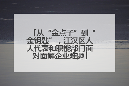 从“金点子”到“金钥匙”，江汉区人大代表和职能部门面对面解企业难题