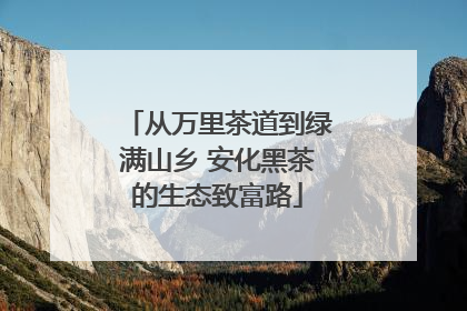 从万里茶道到绿满山乡 安化黑茶的生态致富路