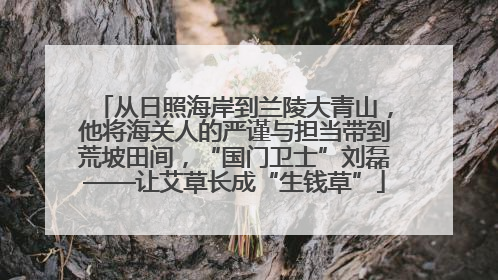 从日照海岸到兰陵大青山，他将海关人的严谨与担当带到荒坡田间，“国门卫士”刘磊——让艾草长成“生钱草”