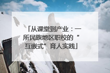 从课堂到产业：一所民族地区职校的“互嵌式”育人实践