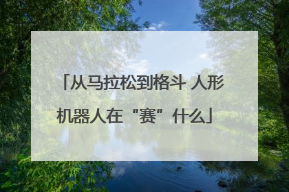 从马拉松到格斗 人形机器人在“赛”什么