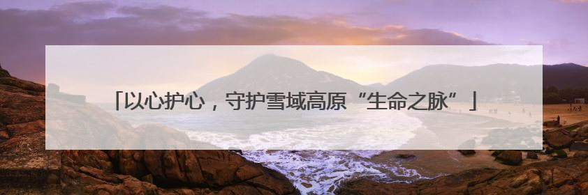 以心护心，守护雪域高原“生命之脉”
