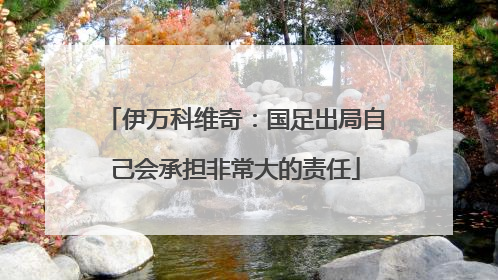伊万科维奇：国足出局自己会承担非常大的责任