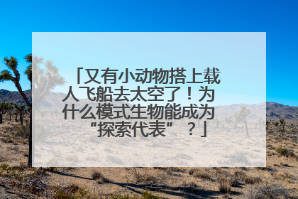 又有小动物搭上载人飞船去太空了！为什么模式生物能成为“探索代表”？