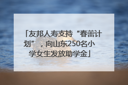 友邦人寿支持“春蕾计划”，向山东250名小学女生发放助学金