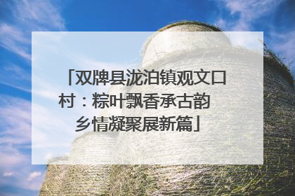 双牌县泷泊镇观文口村：粽叶飘香承古韵 乡情凝聚展新篇