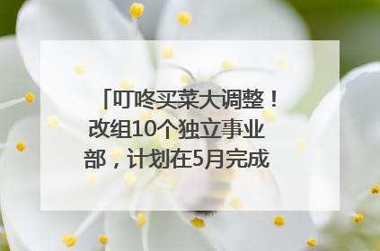 叮咚买菜大调整！改组10个独立事业部，计划在5月完成App端全面改版