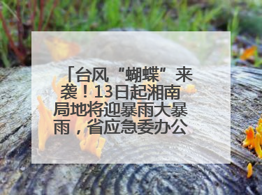 台风“蝴蝶”来袭！13日起湘南局地将迎暴雨大暴雨，省应急委办公室发布汛情提醒