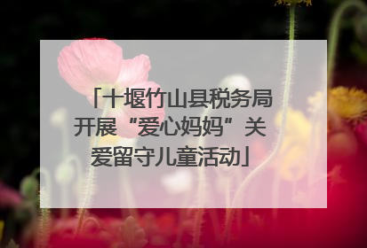 十堰竹山县税务局开展“爱心妈妈”关爱留守儿童活动