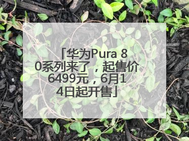 华为Pura 80系列来了，起售价6499元，6月14日起开售