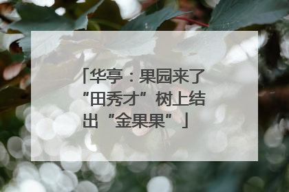 华亭：果园来了“田秀才”树上结出“金果果”
