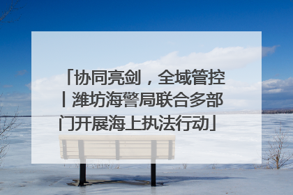 协同亮剑，全域管控丨潍坊海警局联合多部门开展海上执法行动