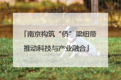 南京构筑“侨”梁纽带推动科技与产业融合