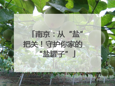 南京：从“盐”把关！守护你家的“盐罐子”