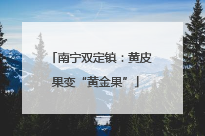 南宁双定镇：黄皮果变“黄金果”