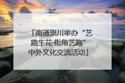 南通崇川举办“艺路生花·街角艺趣”中外文化交流活动