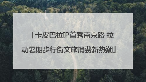 卡皮巴拉IP首秀南京路 拉动暑期步行街文旅消费新热潮