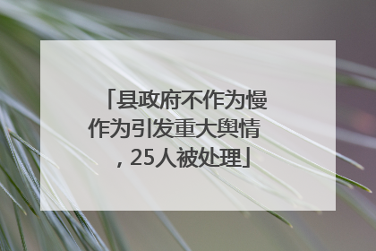 县政府不作为慢作为引发重大舆情，25人被处理